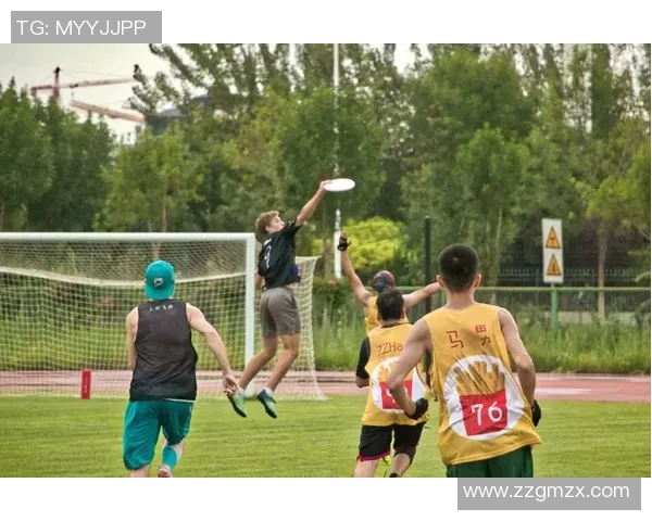 刘敏独家分享飞盘技巧与心得体会助你轻松掌握飞盘运动的乐趣与技巧