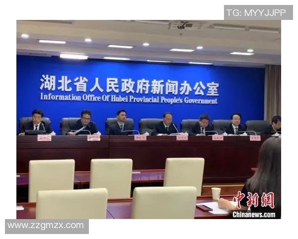 聚焦武汉排球队技战术提升与发展探讨之路